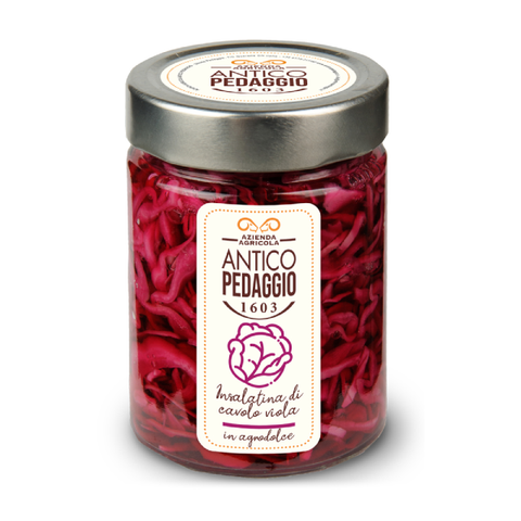 Insalatina di cavolo viola - Antico Pedaggio