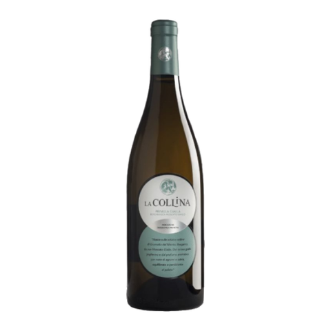 Moscato giallo "Primula Gialla" - La Collina